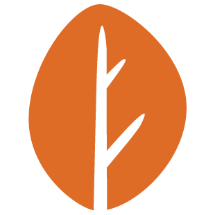 playmatearena.com favicon